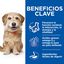 12 sobres x 80 g Hill's Science Plan Senior vitatily adult 7+ small & adult estofado de pollo sobre para perros ¡Pack ahorro!, , large indicador imagen numero 4